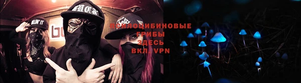 Альфа ПВП Алзамай