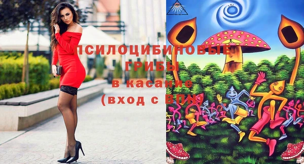 тгк Алексеевка