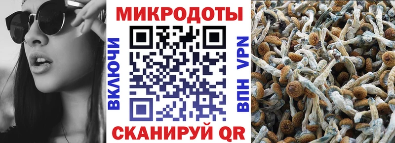 Псилоцибиновые грибы MAGIC MUSHROOMS  маркетплейс состав  Любим  где продают наркотики 